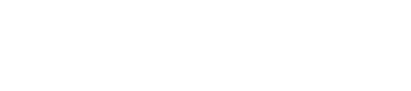 Logo_Lizot_white_rgb2