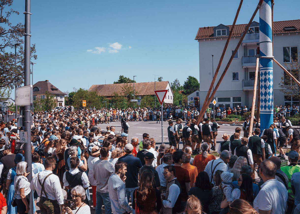 Maibaum 2025